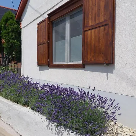 Maison d'hôtes Fehér Szeder Csopak