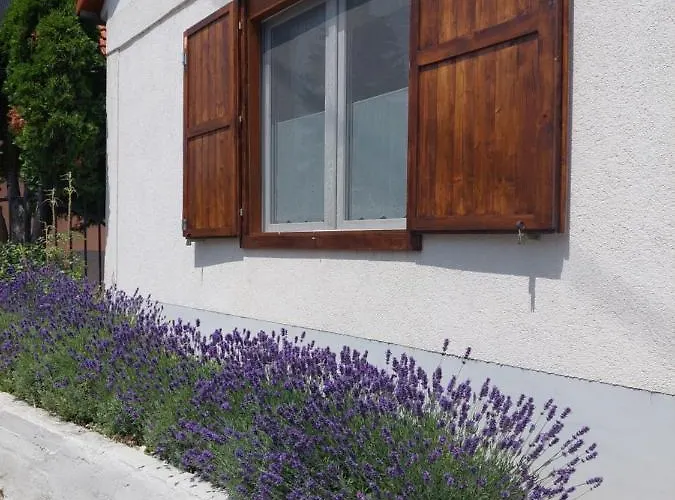 بيت ضيافة Feher Szeder تشوباك